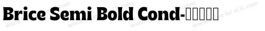 Brice Semi Bold Cond字体转换